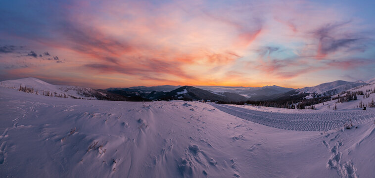 Picturesque winter alps sunrise. Highest ridge of the Ukrainian Carpathians is Chornohora with peaks of Hoverla and Petros mountains. View from Svydovets ridge and Dragobrat ski resort.