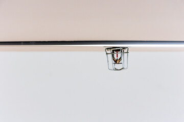 Fototapeta premium Fire sprinkler installed on the ceiling. Fire protection installations in modern buildings