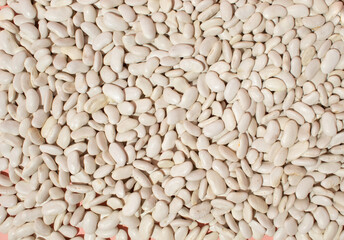 Top view of uncooked white kidney beans. Background  food concept