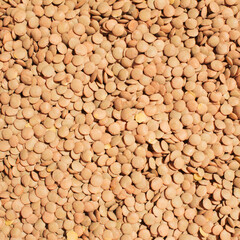 Top view of uncooked lentil. Background  food concept