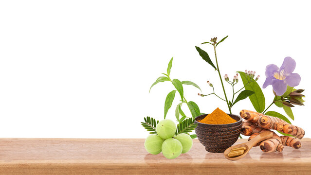 Lung tonic herbs such as vernonia cinerea, thunbergia laurifolia and other herbs on wooden floor on transparent background.