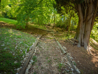 Sentiero nel bosco