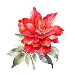 Floral painting. Beautiful flowers illustration.