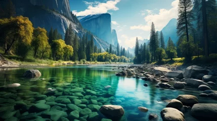 Foto op Canvas the yosemite river surrounded by mountains © medienvirus