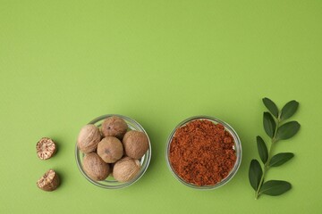 Nutmeg powder, seeds and branch on light green background, flat lay. Space for text
