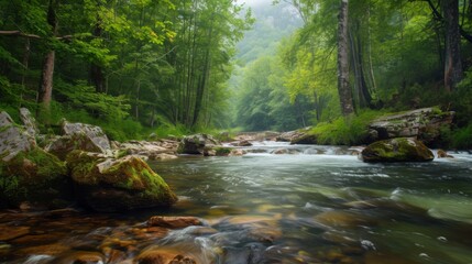 Naklejka na ściany i meble Mountain river in the forest