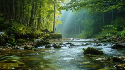 Wandcirkels tuinposter Mountain river in the forest © Nikodem