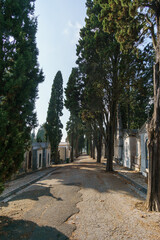 View of The Prazeres Cemetery, the largest cemetery in Lisbon, Portugal