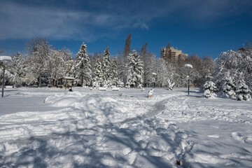 Winter Landscape of South Park in city of Sofia, Bulgaria