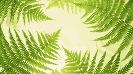 Lush ferns create a dense pattern of vibrant green fronds in a close-up botanical display.