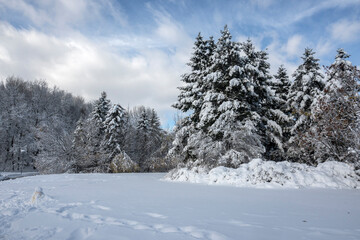 Winter Landscape of South Park in city of Sofia, Bulgaria