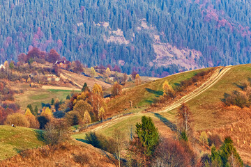Panoramic view of misty sunny autumn evening in mountains. Beautiful sunset hills landscape. Slopes, meadows, fields, dirt road. Amazing fall rural scene. Tonal perspective Carpathian range.