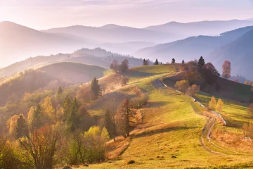 Washable wall murals Meadow, Swamp Panoramic view of misty sunny autumn evening in mountains. Beautiful sunset hills landscape. Slopes, meadows, fields, dirt road. Amazing fall rural scene. Tonal perspective Carpathian range.