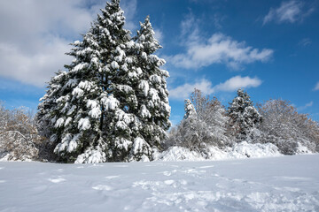 Winter Landscape of South Park in city of Sofia, Bulgaria