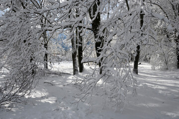 Winter Landscape of South Park in city of Sofia, Bulgaria