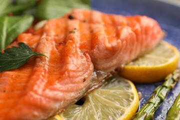 Tasty grilled salmon with lemon and spices on plate, closeup