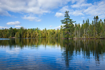 Obraz premium Blue lake in northern Minnesota with pines along the shore during autumn