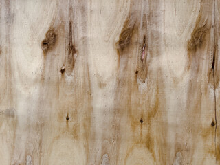 wooden palette texture close up