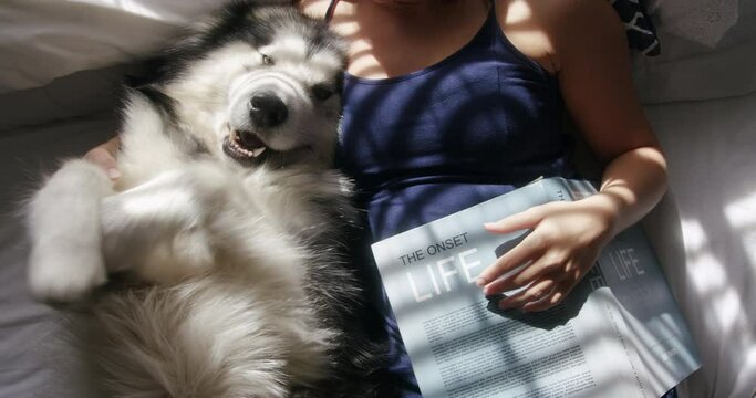 Person, book or hands with dog in home for bond, therapy or wellness with trust or loyalty together. Above, animal playing or closeup of woman with love, pet or husky for care or support in bedroom