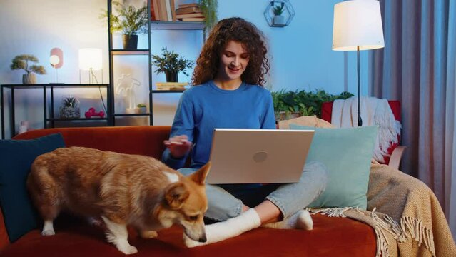 Beautiful young female woman freelancer with curly hair in casual clothes using laptop sitting beside corgi dog on sofa in living room. Positive girl with netbook working on online project at home.