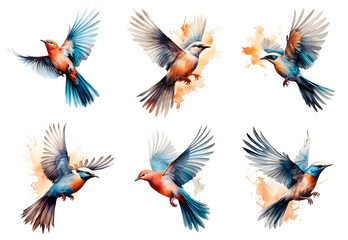 A set of detailed and vibrant bird images without background