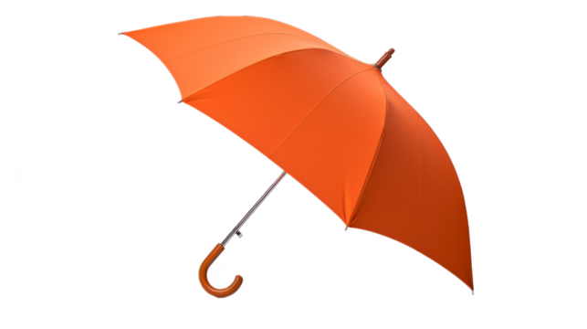 Umbrella. Isolated on a white background png like
