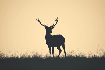A majestic buck stands tall in a golden field, its powerful antlers silhouetted against the sky as it embodies the wild spirit of nature