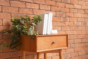Holder with books and houseplant on table near brick wall