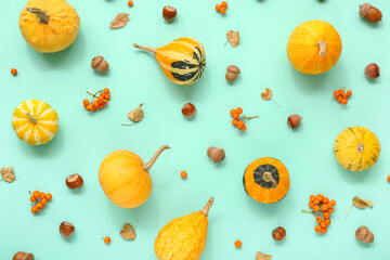 Autumn composition with pumpkins, viburnum and acorns on turquoise background - obrazy, fototapety, plakaty