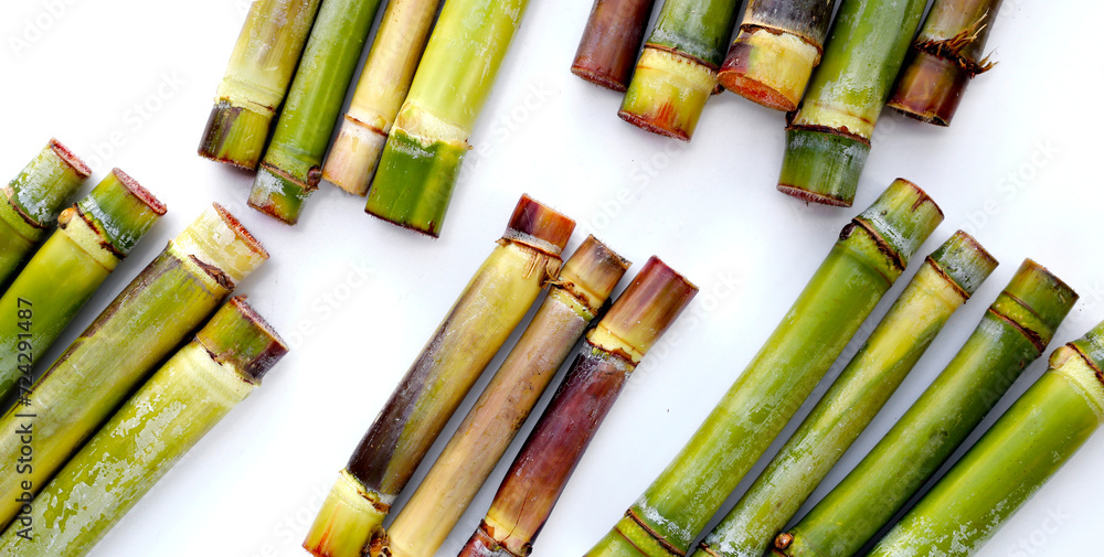 Canvas Prints fresh sugar cane on white background.