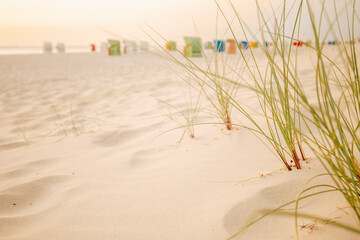 Sandy white dunes with beach grass at sunset. Nature of the North Sea Germany. Fer Island. Frisian...