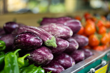 Heap of fresh raw purple striped organic eggplants on vegetable counter waiting for customer. Concept of popular vegetarian products