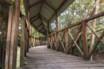 wooden bridge in the forest Alto Mayo San Martín Perú