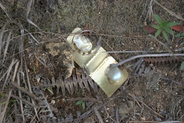 Fototapeta premium grass, green, nature, white, ball, mushroom, summer, egg, field, easter, golf, spring, environment, eco, natural, bulb, eggs, macro
