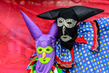 Two people wearing a mask against a red background during the carnival parade