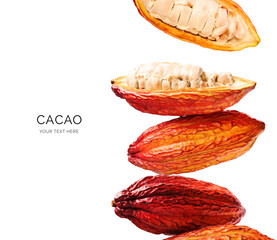 Creative concept made of cacao fruit on the white background. Flat lay. Food concept. Macro concept.