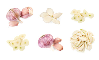 Fototapeta premium Whole and cut fresh garlic isolated on white, set