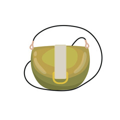 Stylish woman's bag on white background