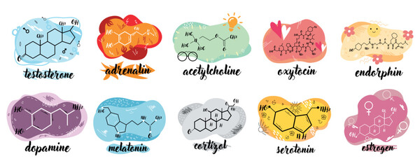 Structural chemical formulas of different human hormones on white background