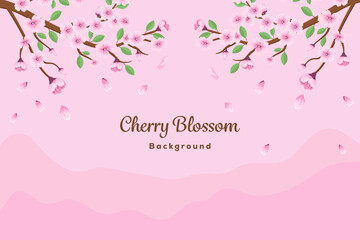 flat vector design cherry blossom background illustration