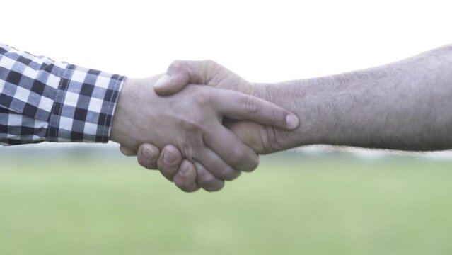 handshake of two people
