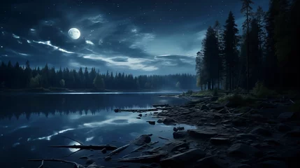 Foto op Canvas Image of tranquil night landscape. © kept