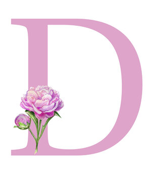 Capital letter D design with watercolor elements. Dusty roses, soft light blush peony, Pink flowers and eucalyptus leaves. Monogram. Ideal for wedding design, branding, invitations, social networks.