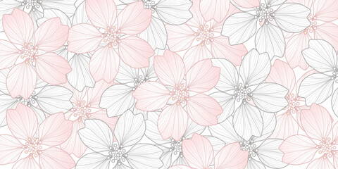 Cherry blossom drawing flower line  art botanical graphic
wallpaper background  - 724335043