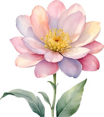 Obraz na płótnie Canvas Watercolor painting of a cute pastel flower.