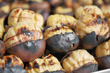 traditional Istanbul street food grilled chestnuts in a row