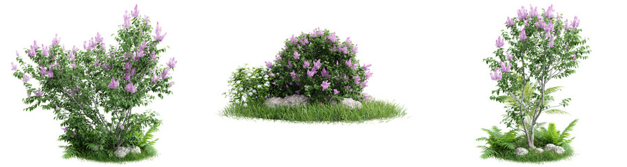 Obraz premium Collection green grass and plant on transparent background.3d rendering png