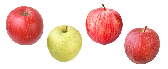 サンフジ-王林-世界一-サンフジ 　左から