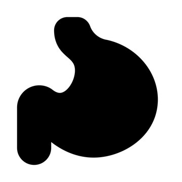 Stomach Solid Icon