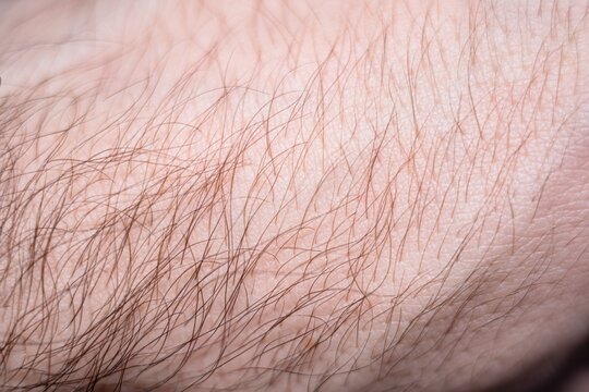Texture of a human hand with skin and hair surface close up